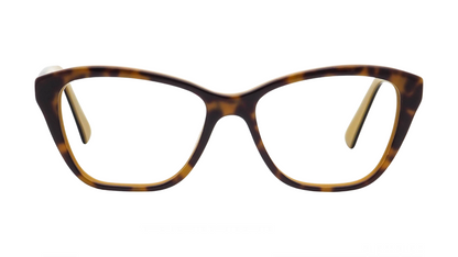 Dolce & Gabbana DG 3249 - Top Havana on Gold
