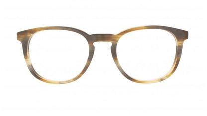 Tommy Hilfiger TH 1384 - Striped Brown