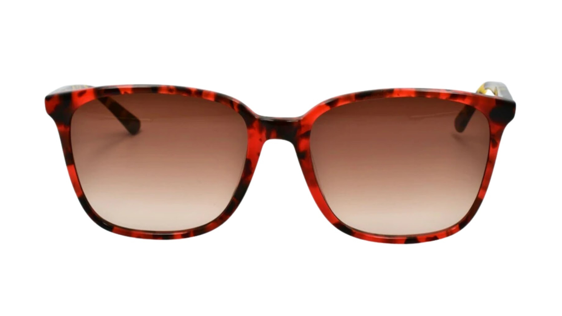 McQ by Alexander McQueen MQ 0121S - Havana