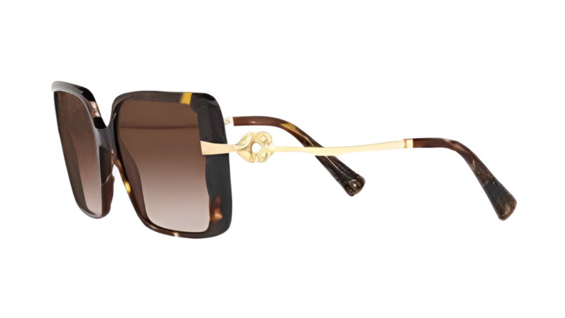 Bvlgari 8243-B - Havana