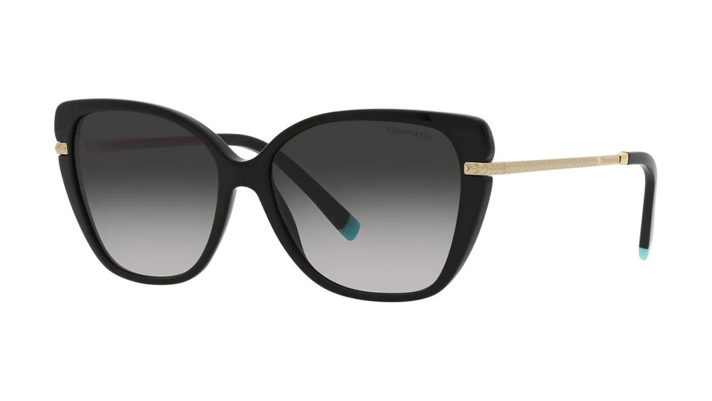 Tiffany & Co. TF 4190 - Black