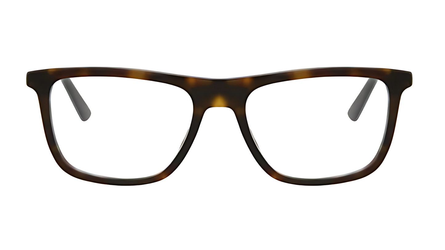 Gucci GG0691O - Havana/Gold