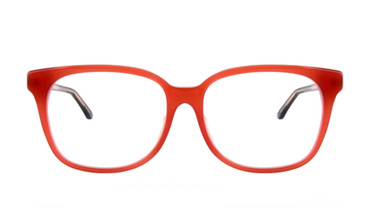 Dior MONTAIGNE 26 - Black Red Brick