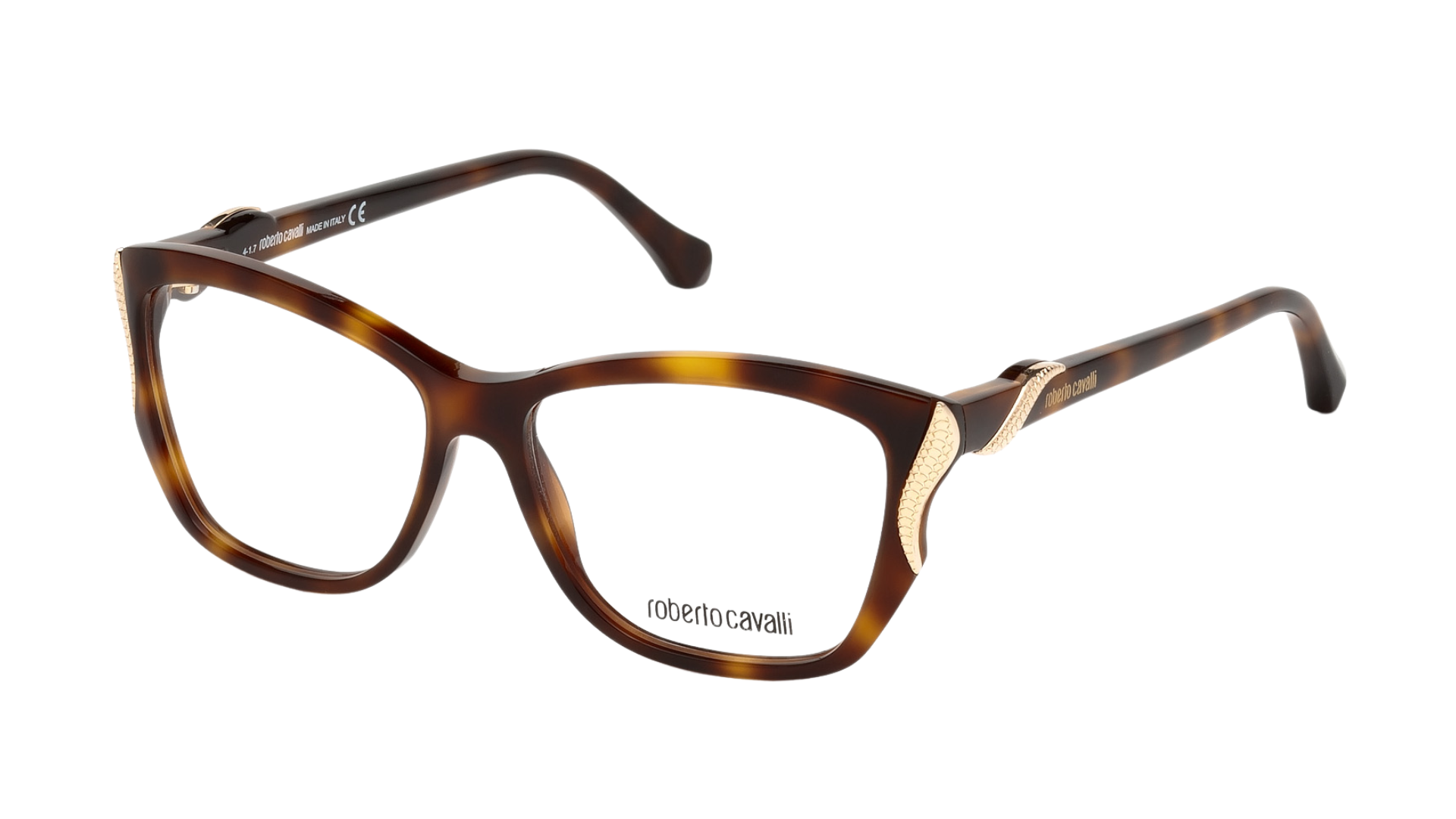 Roberto Cavalli FOSCIANDORA 5056 - Havana