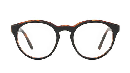 Polo Ralph Lauren POLO 2175 - Top Black on Havana Jerry