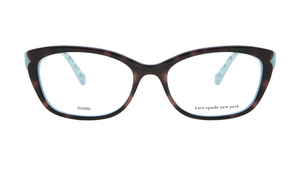 Tortoise/Blue