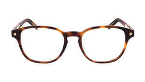 Ermenegildo Zegna EZ5169