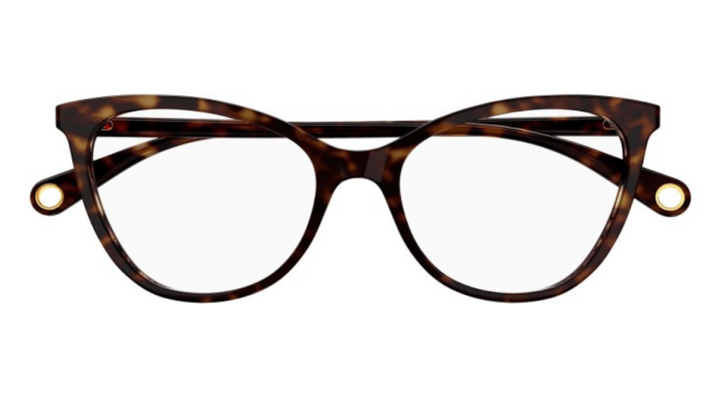 Gucci GG1079O - Havana