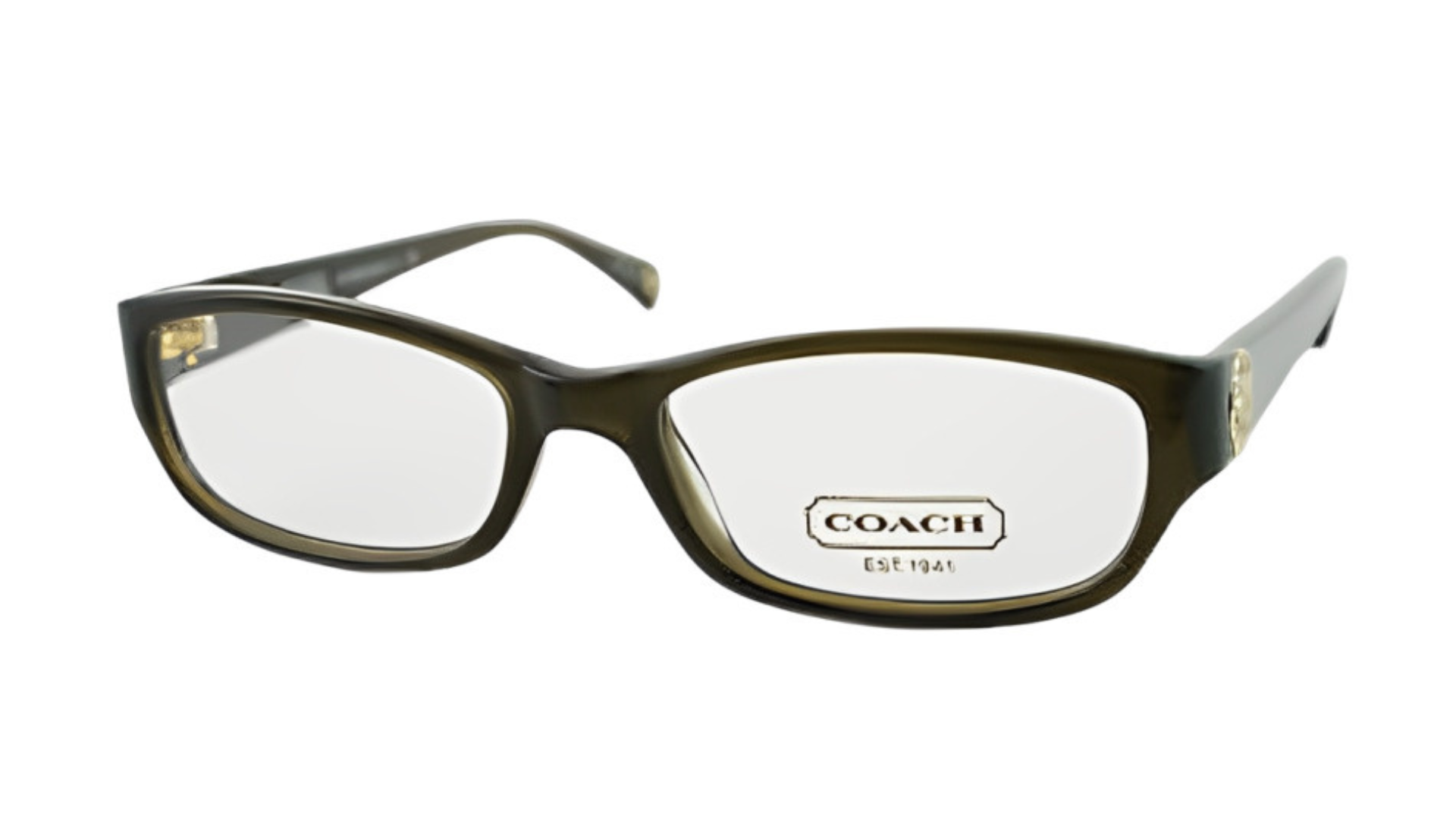 Coach HC 6008 (CAYDN) - Drk Olive