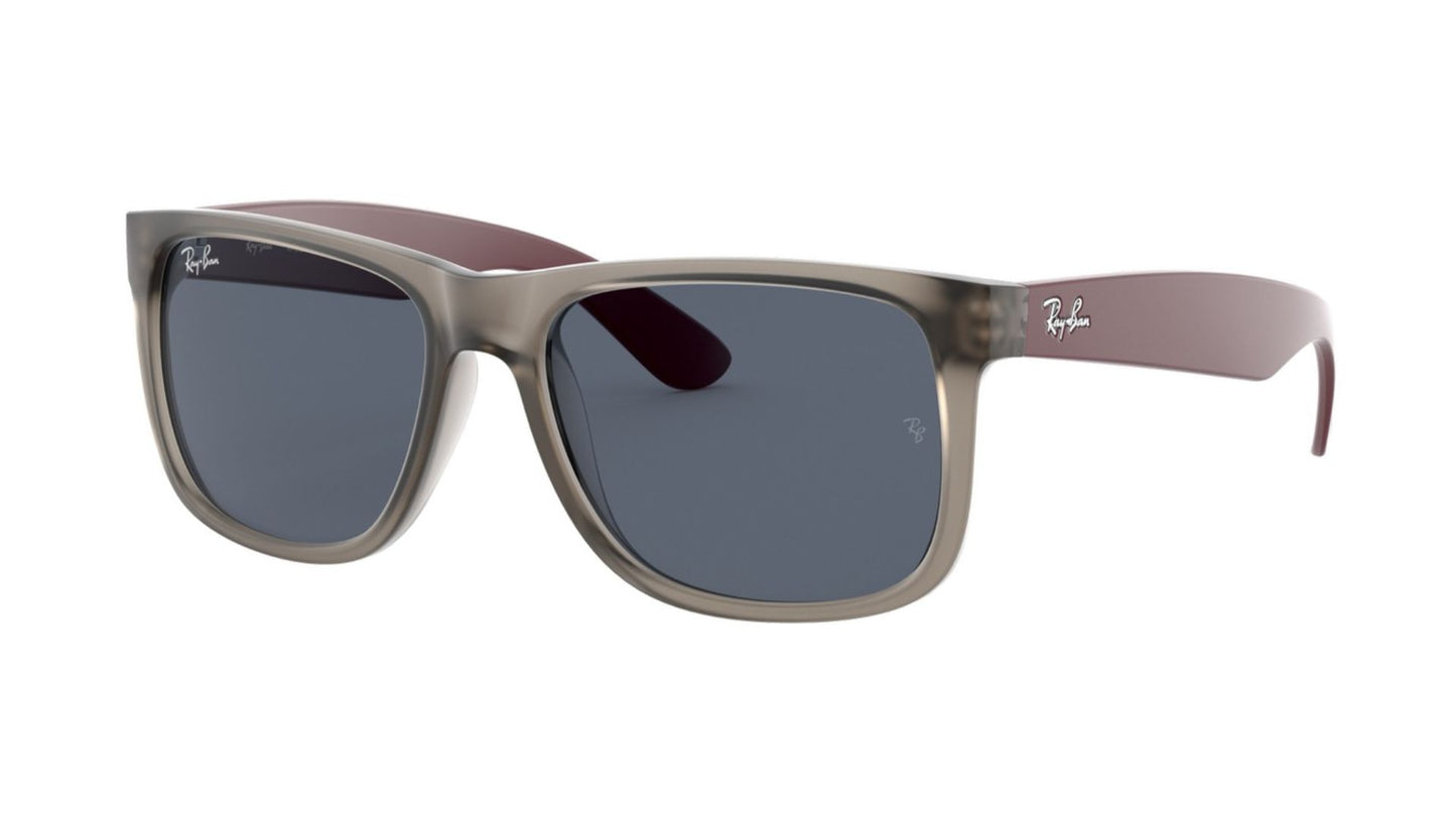 Ray-Ban RB4165 - Rubber Transparent Gray