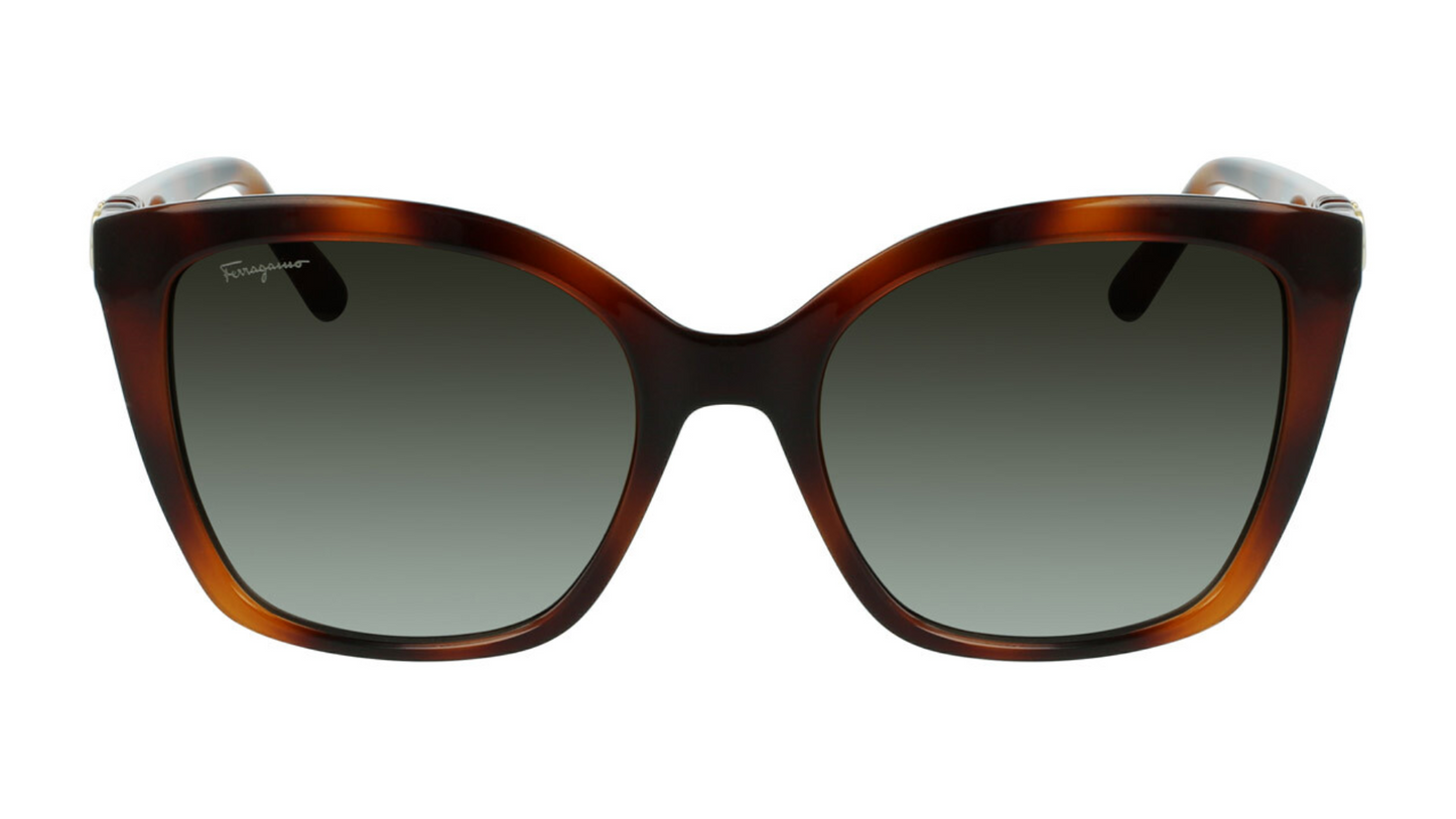 Salvatore Ferragamo SF1026S - Tortoise