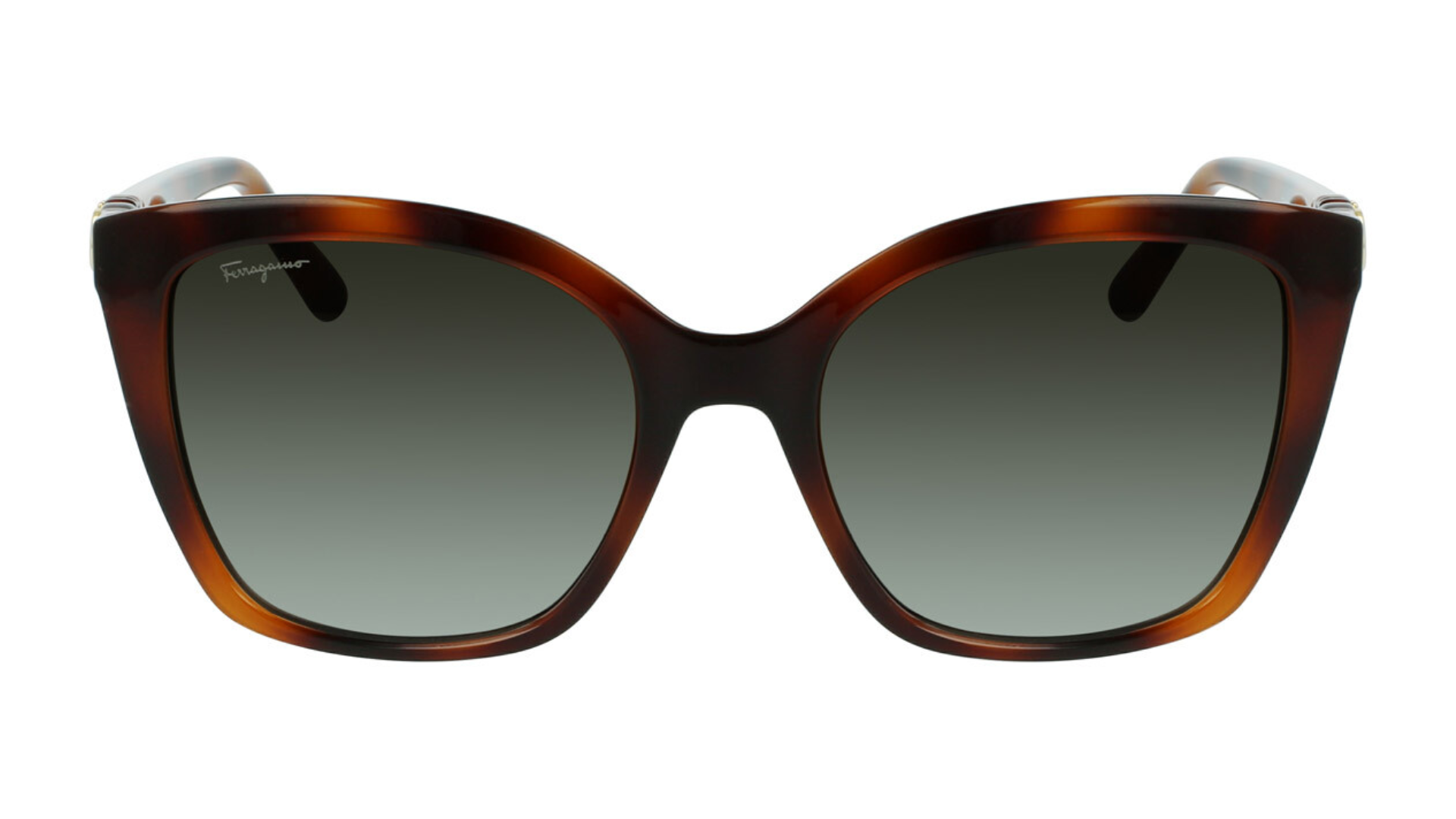 Salvatore Ferragamo SF1026S - Tortoise