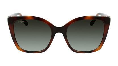 Salvatore Ferragamo SF1026S - Tortoise