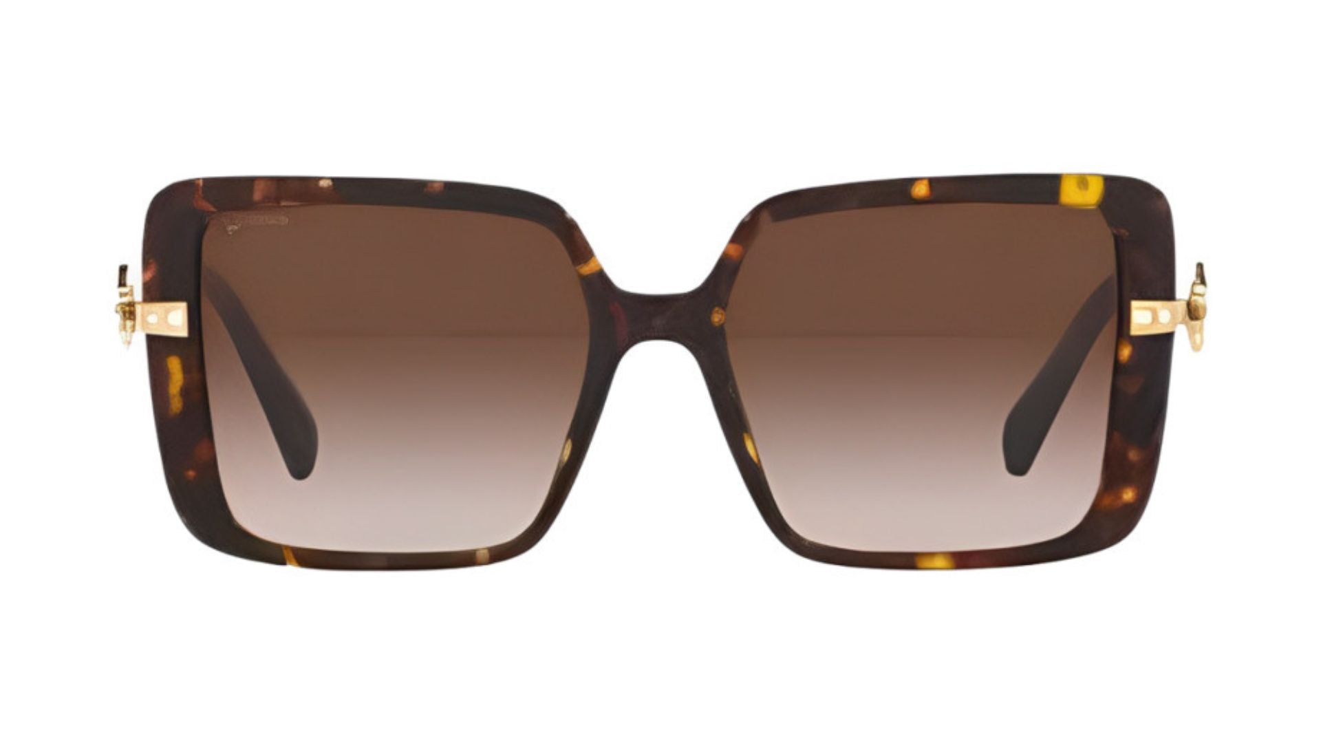 Bvlgari 8243-B - Havana