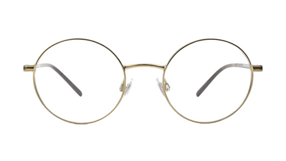 Polo Ralph Lauren PH 1169 - Shiny Pale Gold