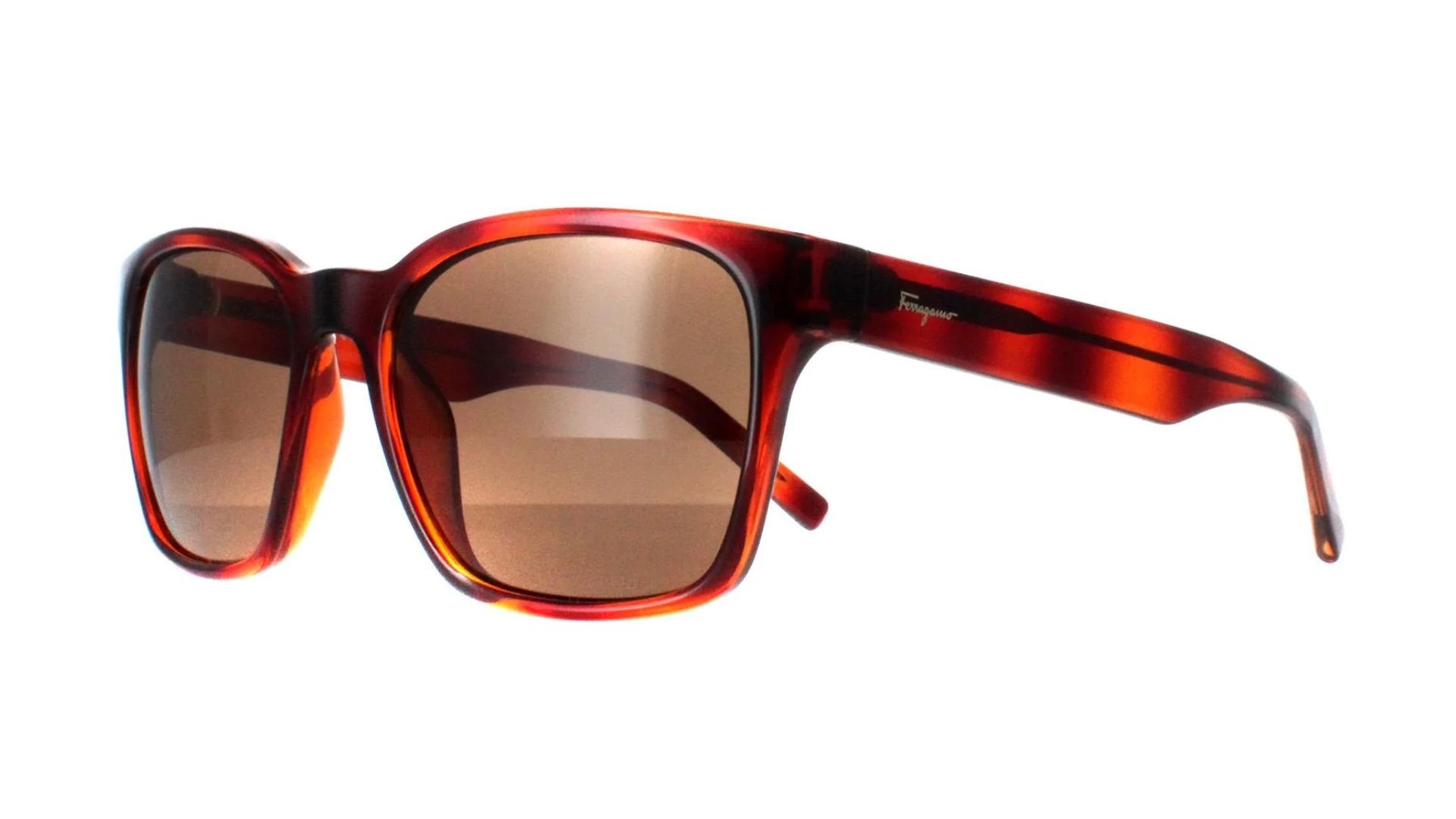 Salvatore Ferragamo SF959S - Tortoise Brown (214) side