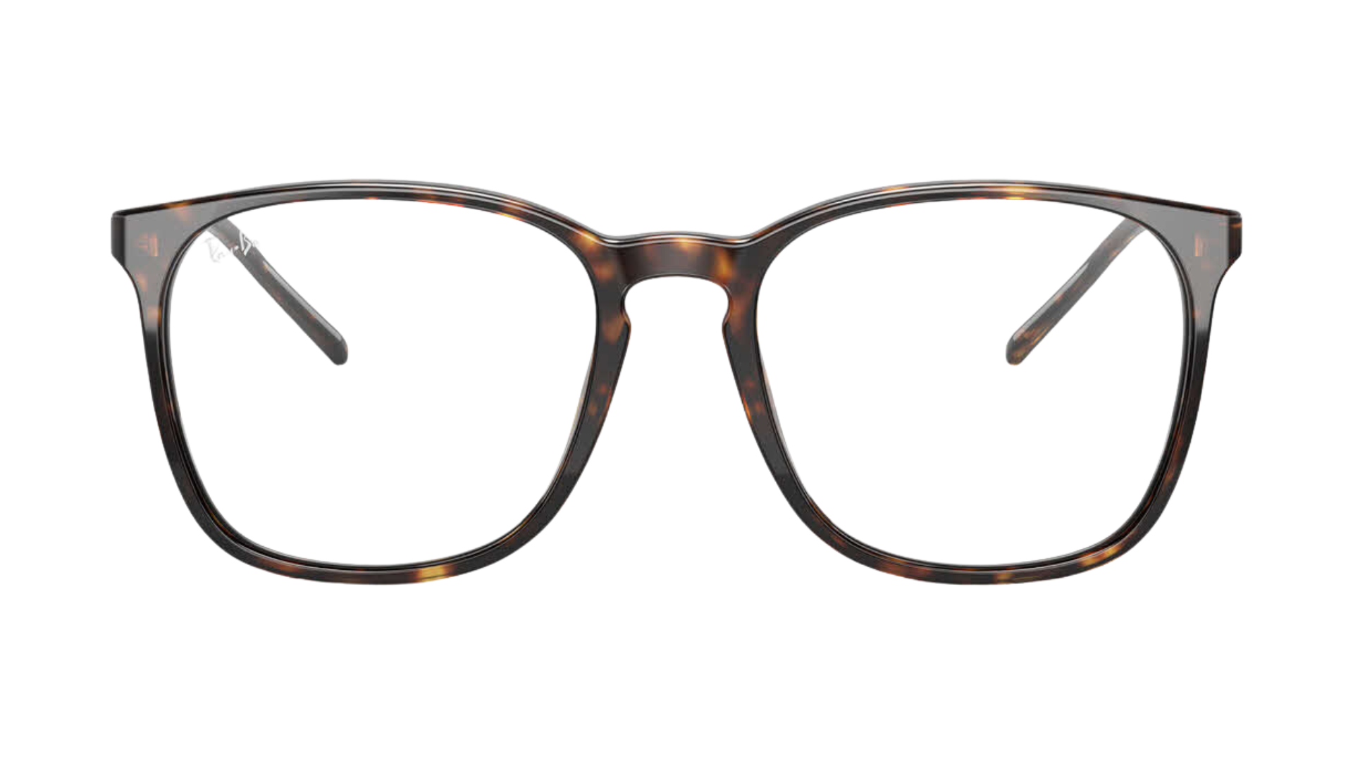 Ray-Ban RB5387 - Tortoise (2012)