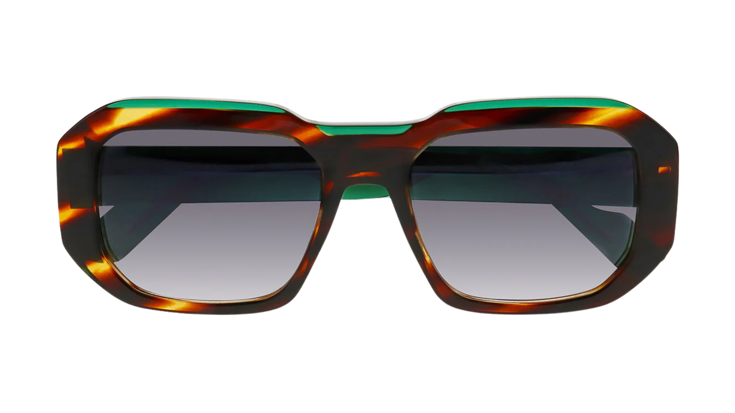 Face a Face Shiro 3 - Blaze Tortoise (1199)