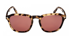 Shiny Light Tokyo Tortoise (56S)